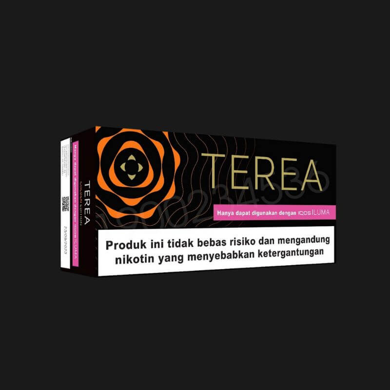 TEREA HeatSticks 10 Packs